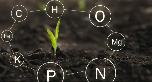 Introduction to Crop Nutrients